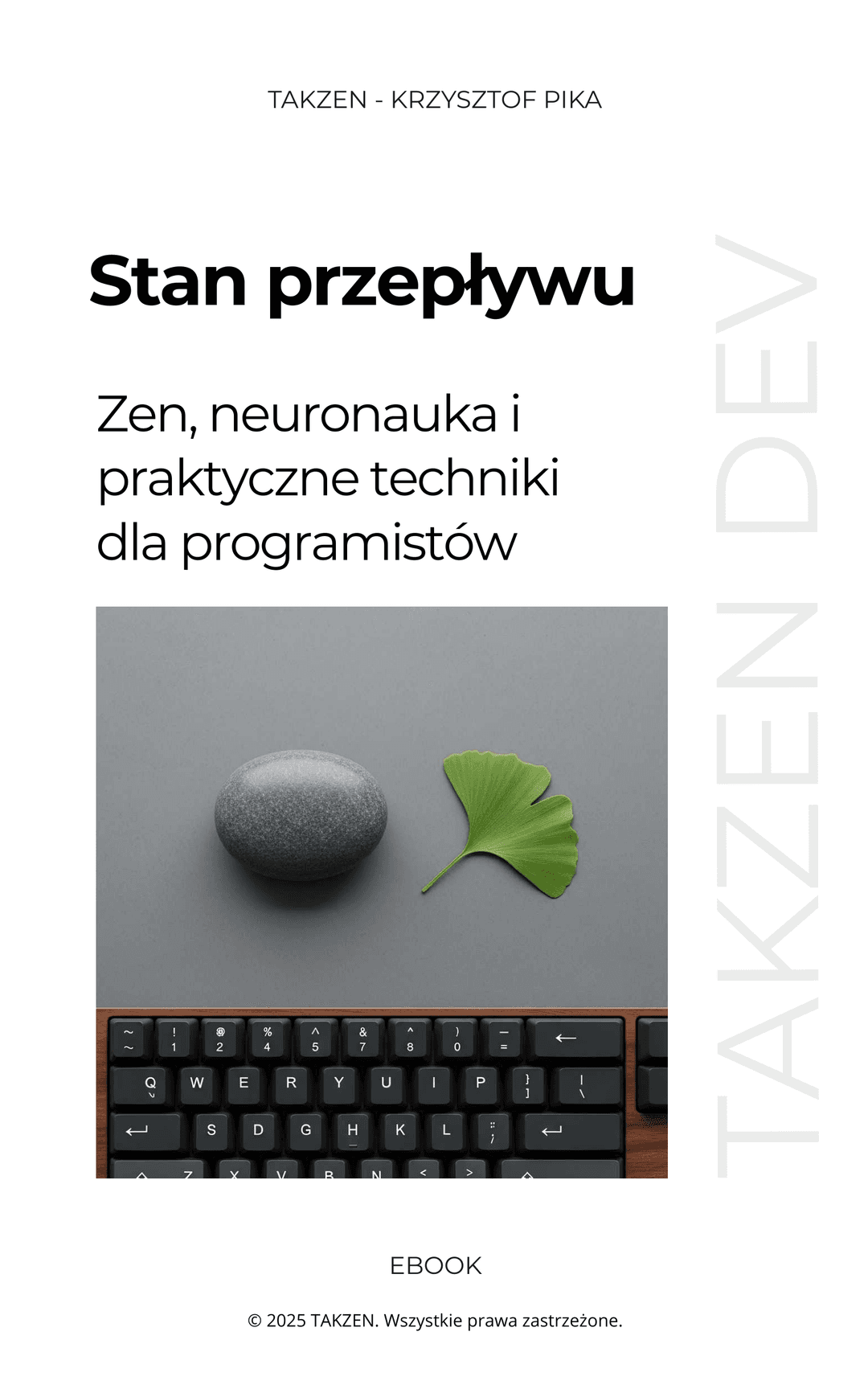 Okładka ebooka - Polska wersja